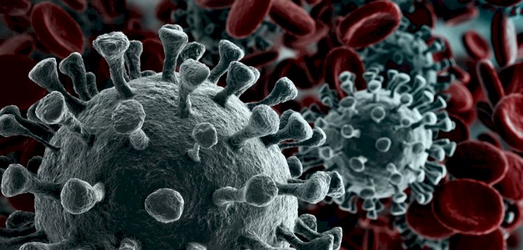 Big data technology is being used to fight novel coronavirus