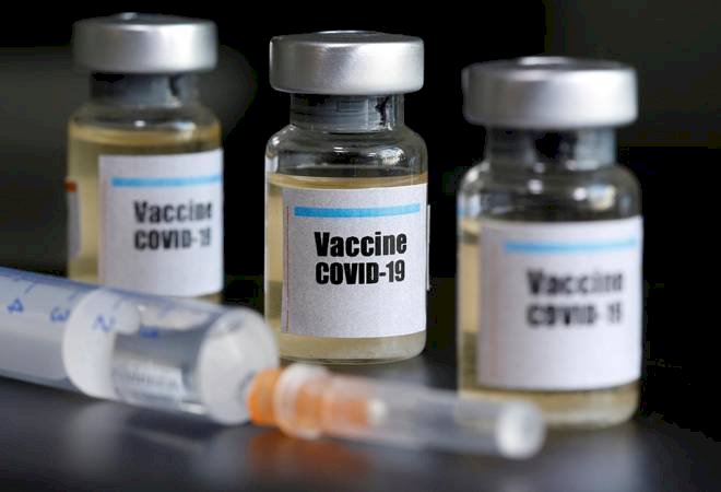 Coronavirus vaccine from Oxford shows promise in animal tests