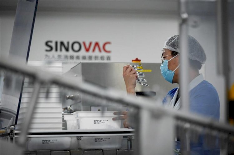 Sinovac's CoronaVac triggers quick immune response in early trials