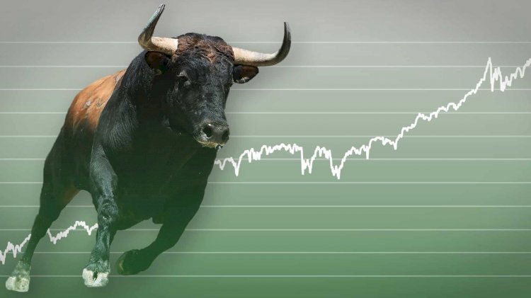 Market bull indicating a good year-end but correction in 2022