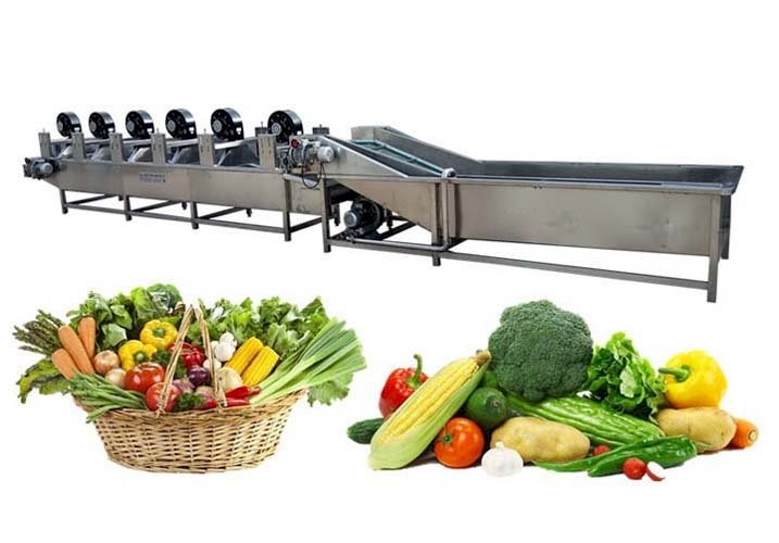 Global Fruit and Vegetable Processing Equipment Market to Surpass USD 5.24 Billion by 2028