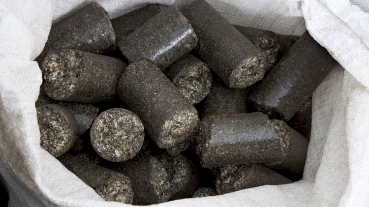 Biomass Briquettes Market to Cross USD 700 Million by 2028