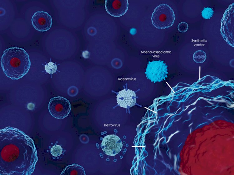 Viral Vector Manufacturing market size to Cross USD 1.5 Billion by 2028