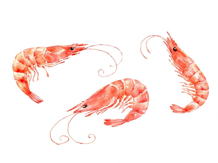 Global Shrimp Market to Grow at a CAGR of 10.4% during 2022-2028
