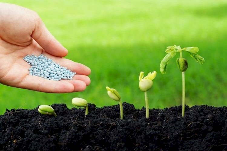 India Biopesticides Market to Witness Double Digit CAGR over Next Five Years