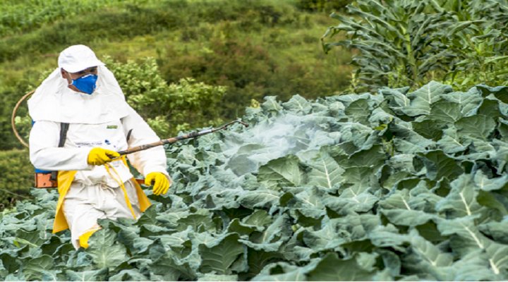Global Crop Protection Chemicals Market to Grow at a CAGR of 4.4%, during Forecast Period