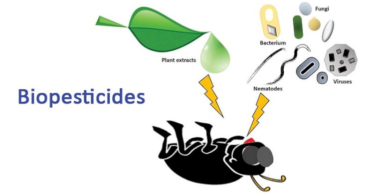 India Biopesticides Market to Witness Double Digit CAGR over Next Five Years