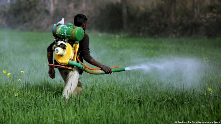 Indian Pesticides Market to Flourish to Cross USD 4 billion by 2028