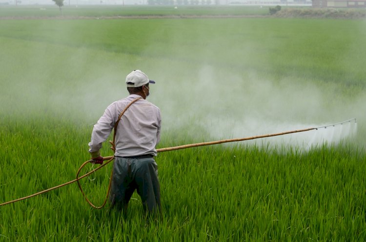 India Pesticides Market to Flourish to Cross USD 4 billion by 2028