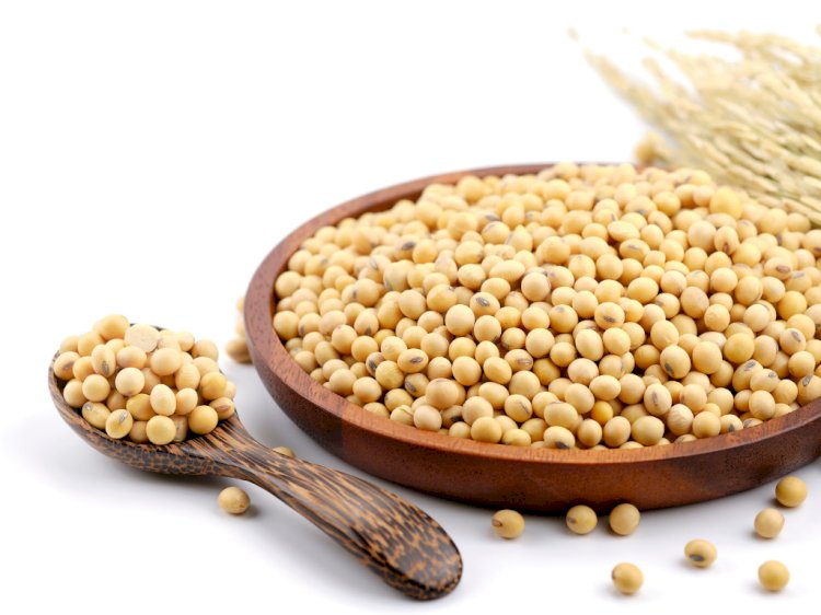 Global Soy Protein Market to Grow at a CAGR of 7.4% during 2023-2028