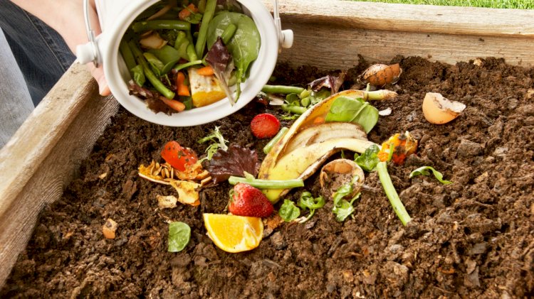 United States Residential Organic Compost Market to Grow at a CAGR of 8.8% during Forecast Period