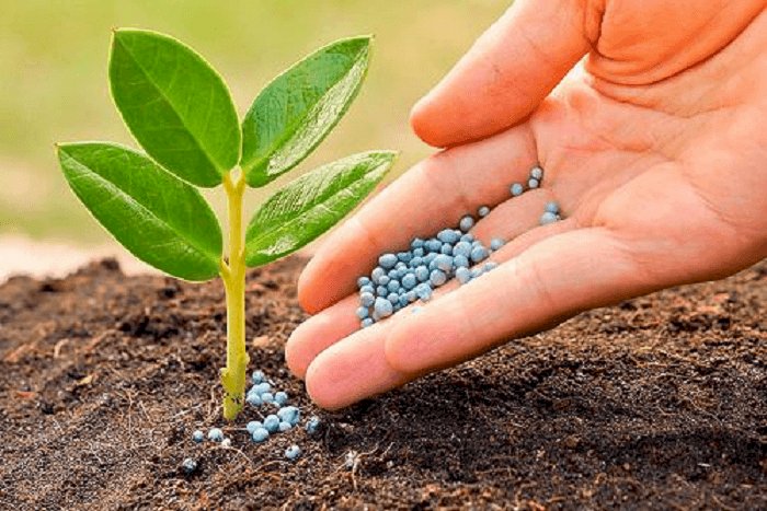 Global Specialty Fertilizers Market Size Set to Touch USD 36 Billion by 2028