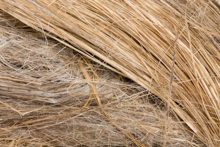 Global Natural Fiber Composites Market Size More Than Doubles to Reach USD 13.4 Billion by 2028