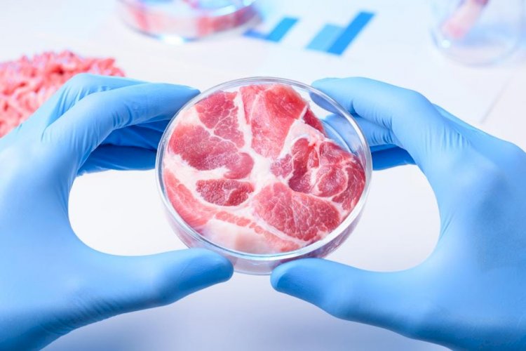 Global Cultured Meat Market to Grow at a CAGR of 17.8% during 2022-2028