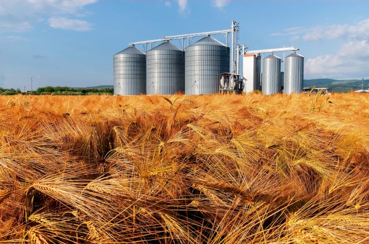 Global Grain Silos and Storage System Market Size Set to Touch USD 2.18 billion by 2028