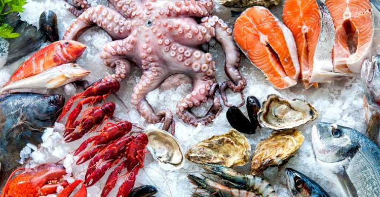 Saudi Arabia Seafood Market Size Set to Touch USD 1.46 billion by 2028