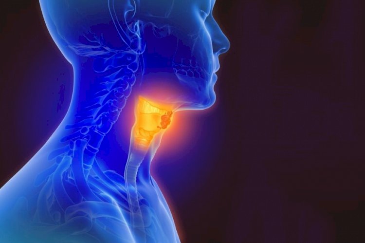 Head and Neck Cancer Therapeutics Market to Grow at a CAGR of 12.6% during Forecast Period