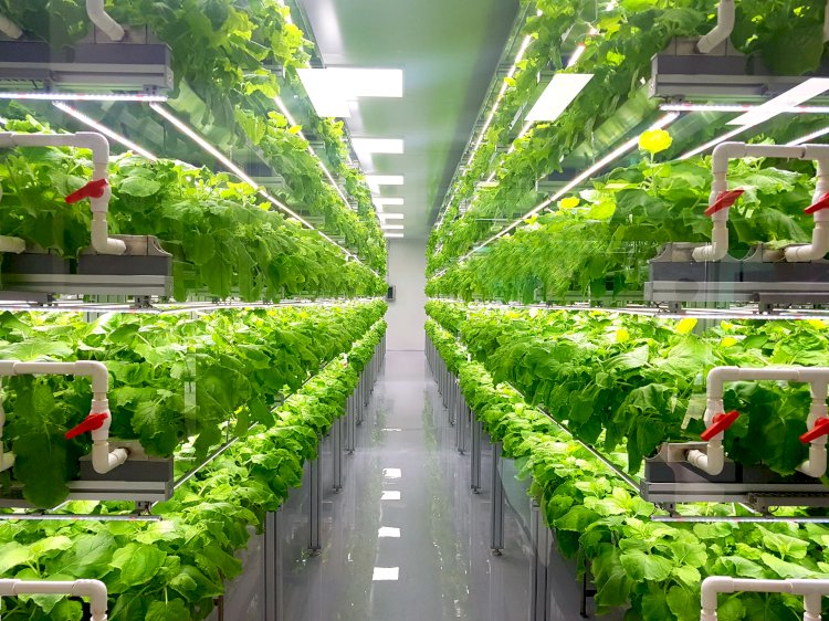 Global Indoor Farming Market to Grow at a CAGR of 10.20% in the Forecast Period