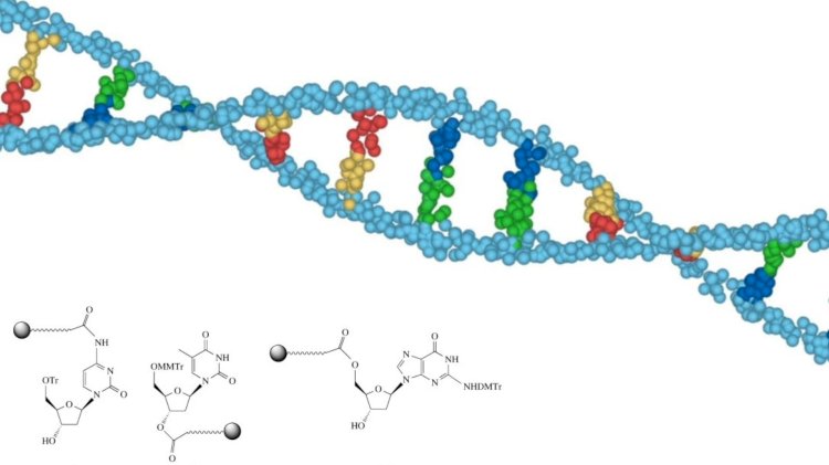 Oligonucleotide Synthesis Market Size is projected to grow at a CAGR of 11.6% by 2029