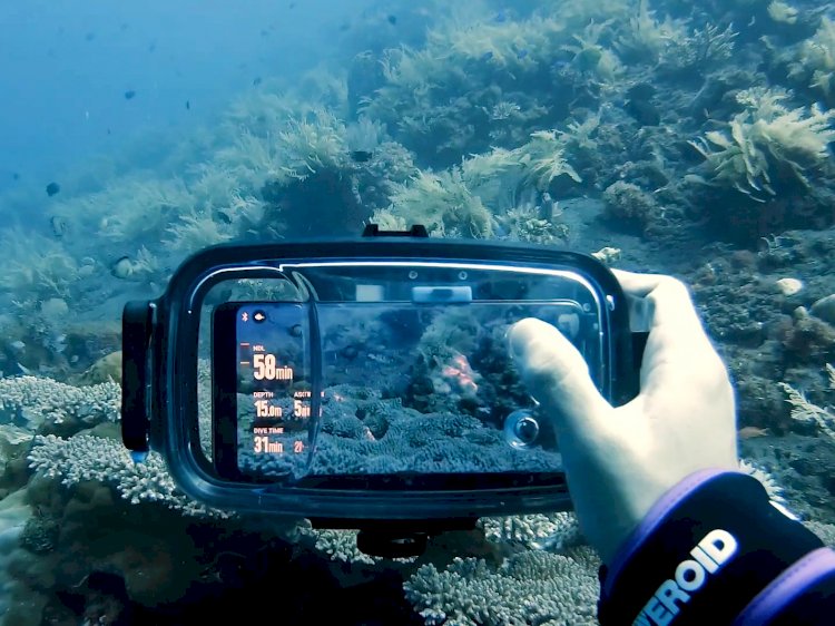 Global Underwater Camera Market Size More Than Doubles to Touch USD 16.25 Billion by 2029