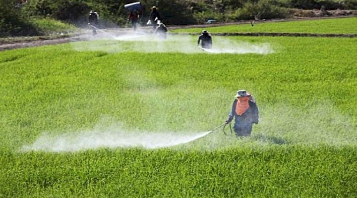 India Crop Protection Chemicals Market to Expand at Steady CAGR of 4.8% During 2023–2029