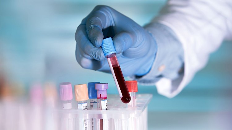 Middle East Liquid Biopsy Market Size More Than Doubles to Cross USD 108 billion by 2029