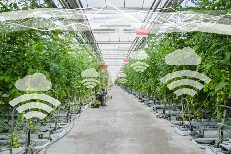 Middle East & Africa Smart Greenhouse Market to Expand at CAGR of 8.4% during 2023–2029