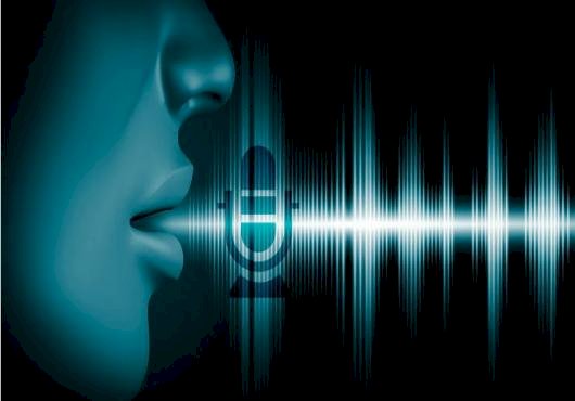 Vocal Biomarker Market Size More Than Doubles Cross USD 6.2 Billion by 2029