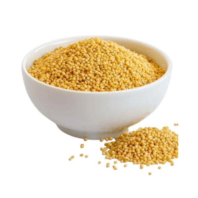 North America Millet Seeds Market Size Growing Steadily to Cross USD 3.54 Billion by 2029