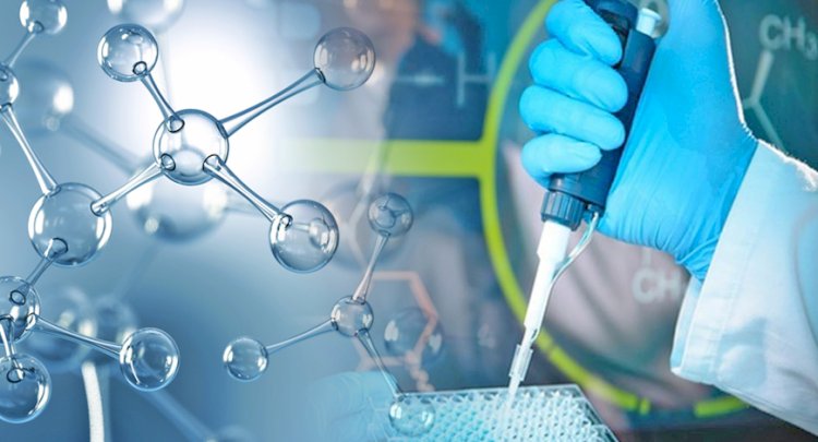 Middle East Molecular Diagnostics Market Size Booming to Reach USD 919 Million by 2029
