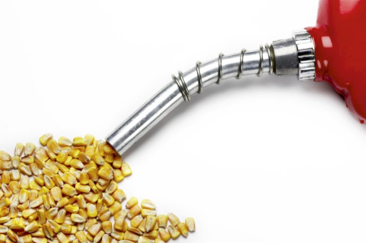 India Ethanol Market Size Booming at Significant CAGR of 9.2% to Reach USD 4.2 Billion by 2029