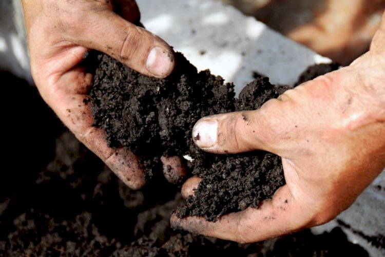 United Kingdom Soil Treatment Market Size Booming to Cross USD 1.8 Billion by 2029