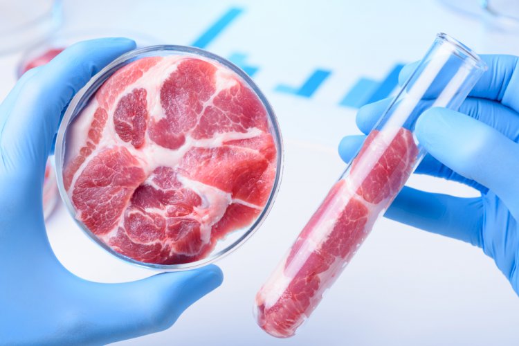 India Lab-Grown Meat Market Set to Reach USD 39 Million by 2029
