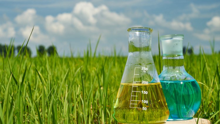 Saudi Arabia Agrochemicals and Pesticide Market Size Set to Reach USD 266.4 Million by 2029