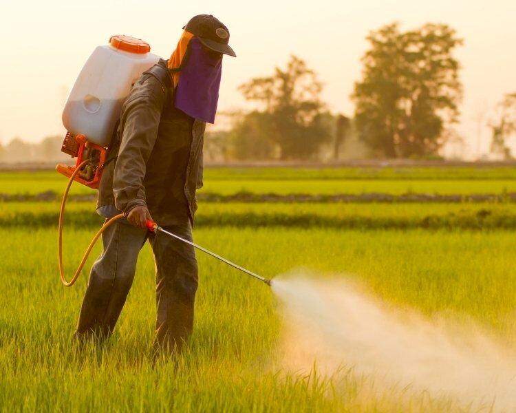 Israel Pesticide Market Size Set to Expand at Significant CAGR of 9.26% During 2023–2029
