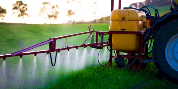 Turkey Pesticide Market Size Set to Reach USD 0.92 Billion By 2029
