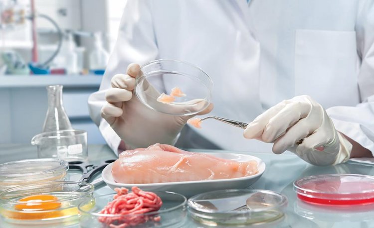 Food Pathogen Testing Market grow at a CAGR of 8.60%