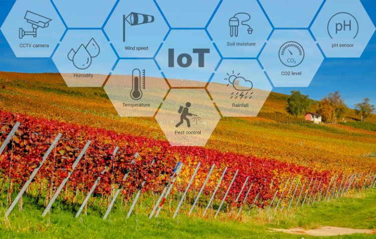 Smart Vineyard Management Market Size Booming at CAGR of 10.7%