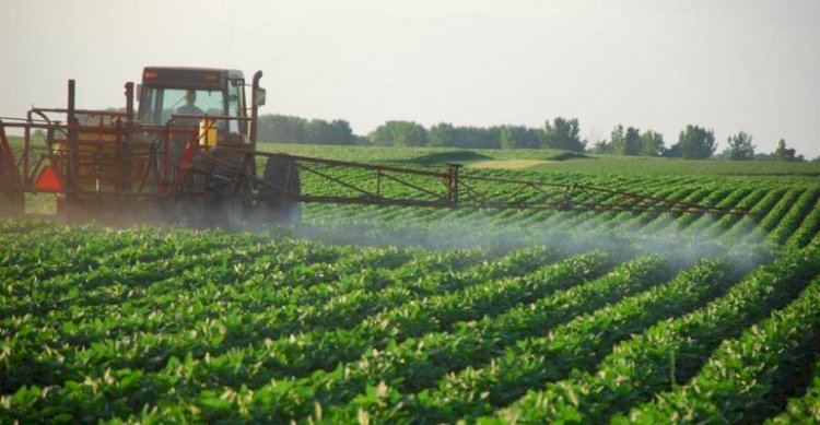 Asia Pacific Agriculture Adjuvants Market Size Grow at Steady CAGR of 6.43%