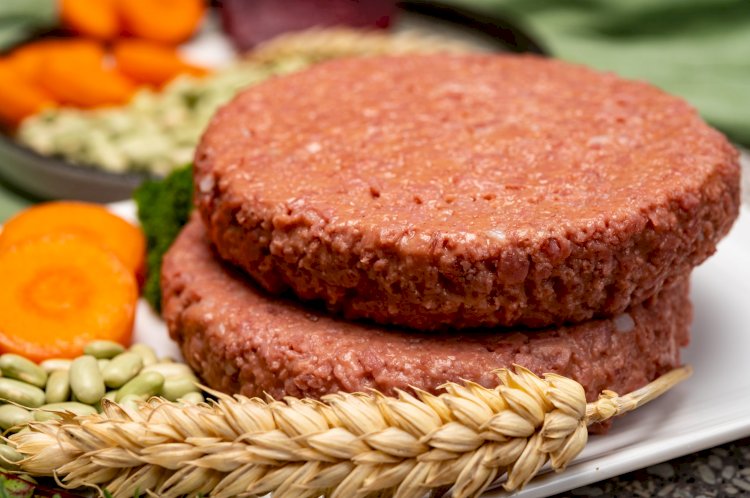 Europe Plant-based Meat Market Size Set to Grow at Significant CAGR of 9.76%