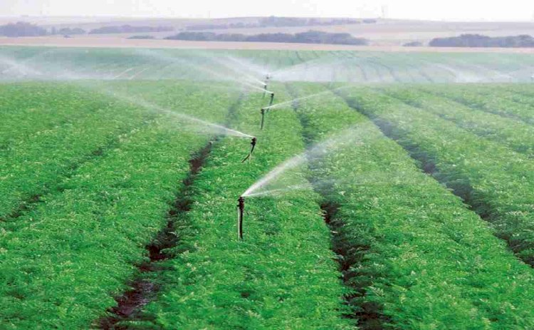 Saudi Arabia Micro Irrigation System Market Size Expands at Significant CAGR of 6.71%